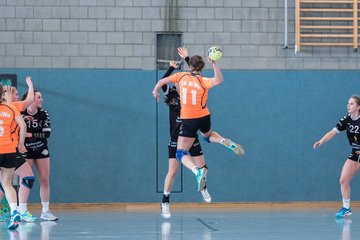 Bild 125 - Frauen OL TuS Esingen - SG Niendorf/Wandsetal : Ergebnis: 24:17